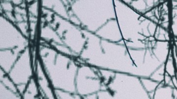 Los fenómenos dentro de este tipo de viviendas que generan miedo son producidos por situaciones que pueden explicarse perfectamente por la ciencia.