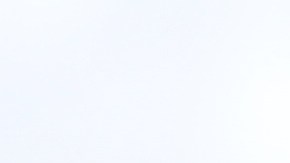 té infusión bebida