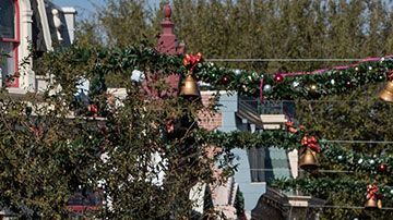 El tema de la atracción será cambiado por la película "The Princess and the Frog".