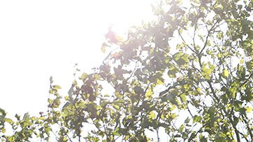 Esta universidad se fundó hace casi 60 años.