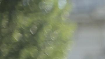 Tu fortuna puede verse favorecida con un ritual de la suerte.