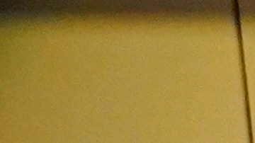 Una pareja en el parque temático de Disney en Japón.