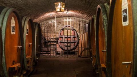 ¿Tratar enfermedades con vino?