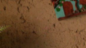 El 30% de los niños venezolanos menores de 5 años padecen de desnutrición crónica.