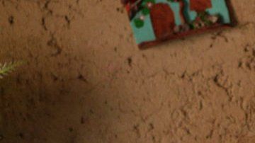 El 30% de los niños venezolanos menores de 5 años padecen de desnutrición crónica.