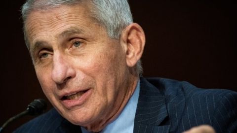 Fauci enumeró los motivos del aumento de contagios en Estados Unidos.