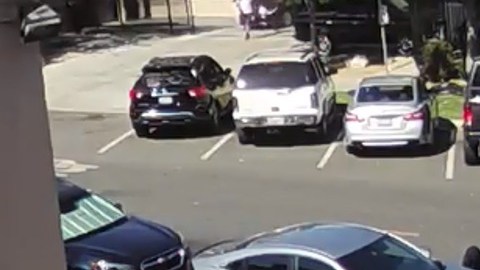 Los sujetos estaban armados y amenazaron a otras personas.