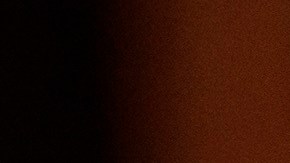 El emotivo discurso de Tedros fue un llamado a la unidad internacional.