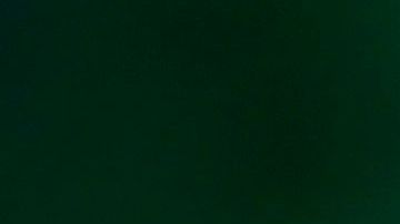 El presidente Donald Trump.