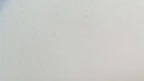 La nieve alcanzó las 11.8 pulgadas de espesor.