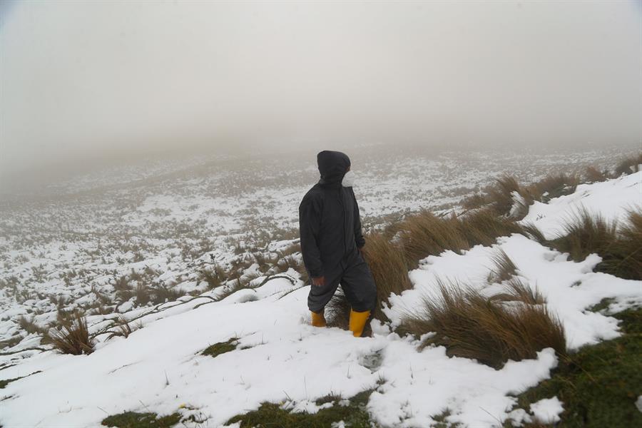 La nieve alcanzó las 11.8 pulgadas de espesor.