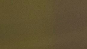 Este 4 de julio una marcha reclamó justicia para Guillén.