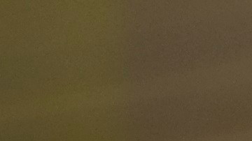 Este 4 de julio una marcha reclamó justicia para Guillén.