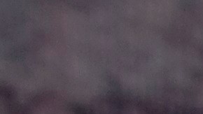 La comunidad en Houston clama justicia mientras llora la muerte de Guillén.