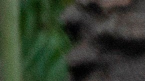 El aumento está siendo especialmente acusado en estados como Florida.