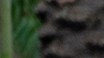 El aumento está siendo especialmente acusado en estados como Florida.