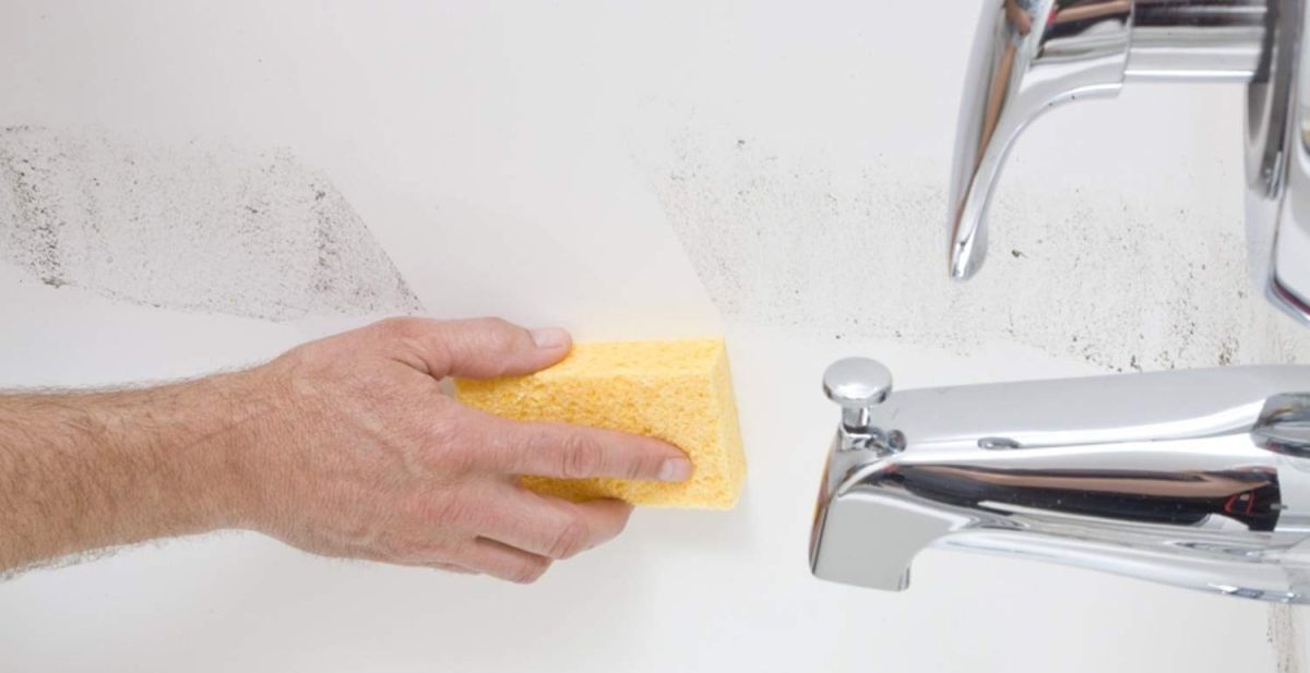 Los mejores productos desinfectantes para mantener tu casa libre de bacterias