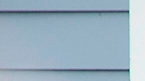 Empresas con trabajos presenciales no estaban sujetos a la excepción.