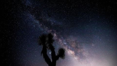 La vía láctea después del atardecer en Joshua Tree National Park.