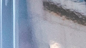 Morris W.O'Kelly preguntó a Stone si había recibido trato favorable por ser amigo de Trump.