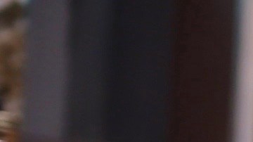 En la imagen aparecen: Lili Estefan, Raúl de Molina y Clarissa Molina en El Gordo y la Flaca.