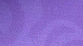 Jacqueline Bracamontes.