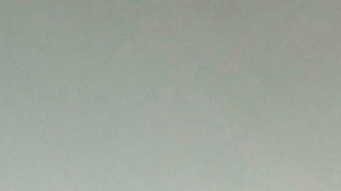 AMLO y Trump al salir a la Rosaleda.