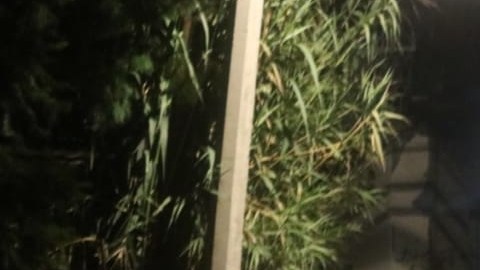 FOTOS: Sicarios matan a balazos a 6 jóvenes, todo apunta a brazo armado del CJNG