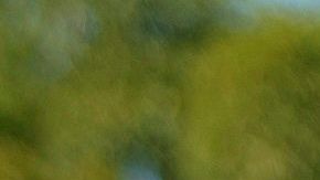 El presidente de Brasil, Jair Bolsonaro.