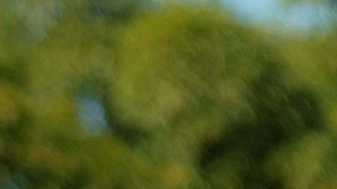 El presidente de Brasil, Jair Bolsonaro.