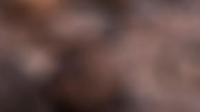 Palanca de transmisión manual tapizada en piel