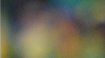 Cissé y Sneijder fueron seleccionados de sus países.