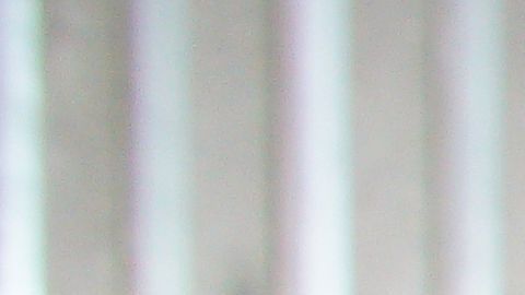 Con el servicio en línea de Fundación Slim migrantes pueden recibir diferentes apoyos