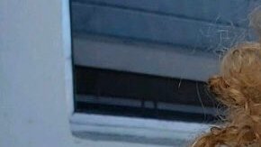 Niño pequeño hallado solo en Florida.