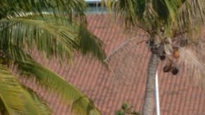Elementos federales de México ya trabajan en la zona