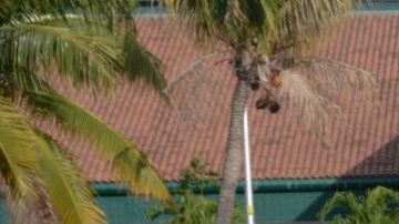 Elementos federales de México ya trabajan en la zona