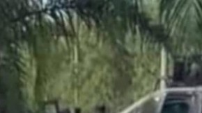 FOTOS: Enfrentamiento a unas millas de frontera deja varias trocas baleadas y con muertos