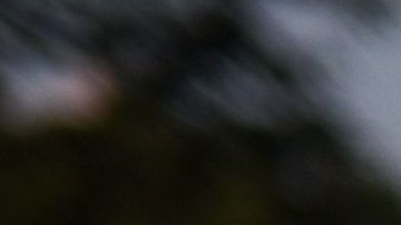 La jueza argumental que la cancelación de la cita electoral "priva" a neoyorquinos de su derecho al voto.