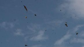 La nave partió de la localidad de Urakusa a las 12:53 horas locales y debía arribar a Chija.