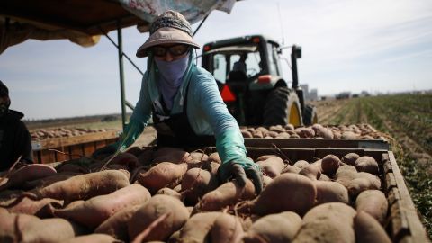 La mayoría de los trabajos en el Valle Central son esenciales con bajos salarios.