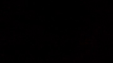 Penny Hardaway lleva los destinos de los Tigers de Memphis desde 2018.