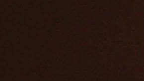 Un tercio de los estadounidenses no han pagado la hipoteca hasta el mes de julio