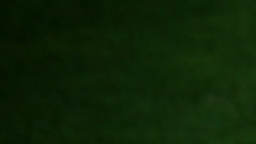 El baile estilo Marinera es tradicional de Perú.