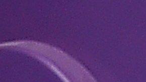 Naya Rivera vivía con su hijo