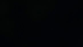 La obra se erigió hace un año cerca del lugar de nacimiento de la primera dama.