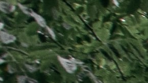 Mansión Jeffrey Epstein Nueva York