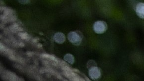 Los migrantes pasan a custodia de ICE al cumplir la mayoría de edad.