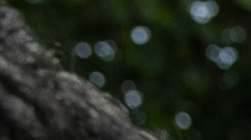 Los migrantes pasan a custodia de ICE al cumplir la mayoría de edad.