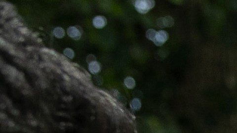 Los migrantes pasan a custodia de ICE al cumplir la mayoría de edad.