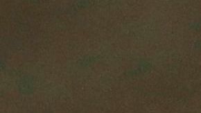 IRS cheque ayuda económica coronavirus COVID-19 dinero errores